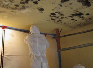 Mold remediation service removing mold caused by water damage inside a home