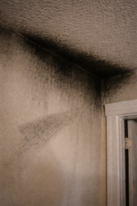 Black soot buildup and smoke staining along ceiling and wall corner with discoloration inside a residential home in Layton Utah