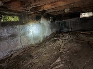 Moisture damage and mold in crawl space of Layton UT home