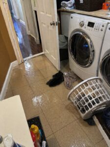 Washing machine overflow flooded laundry room in Layton UT